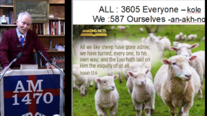 All Like Sheep Overcomers 021124