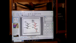 Problem. Reaction Solution Dialectic Sam Duck w Altra Tech121924