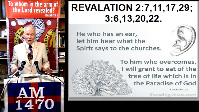 Overcomers as Abiding Branches on Jesus the VINE 051825